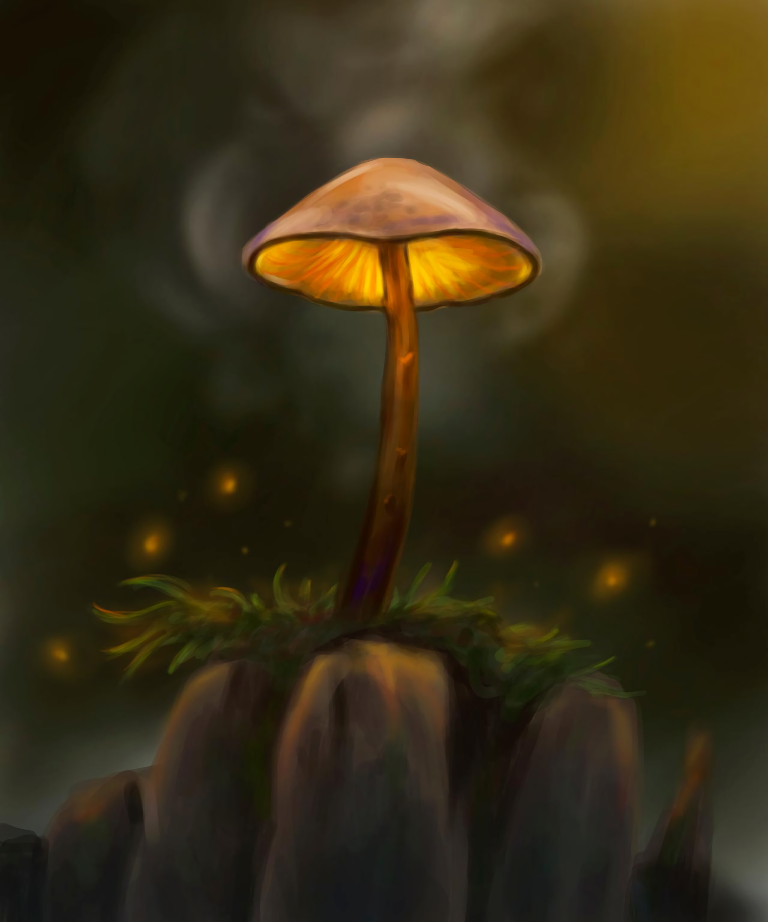 Iphone Mushroom Wallpapers