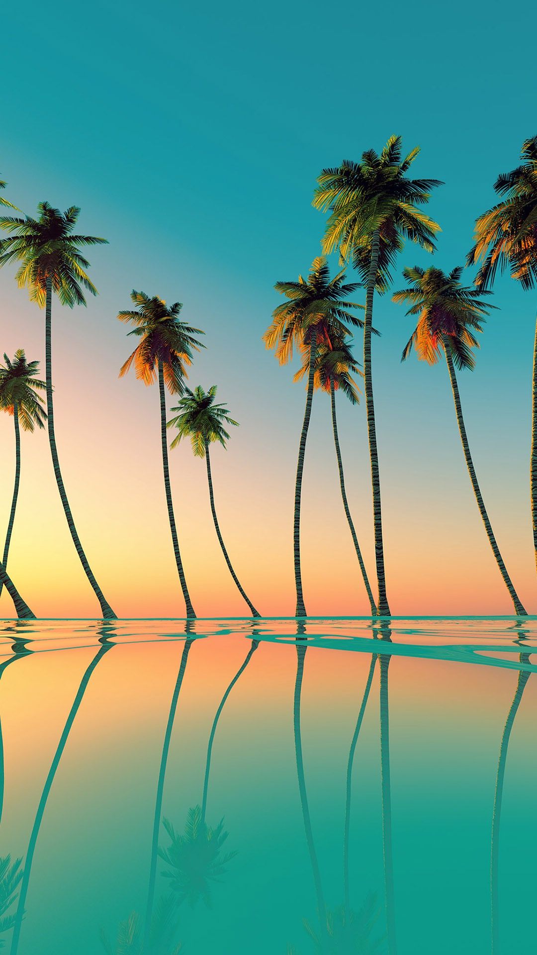 Iphone Palm Tree Wallpapers