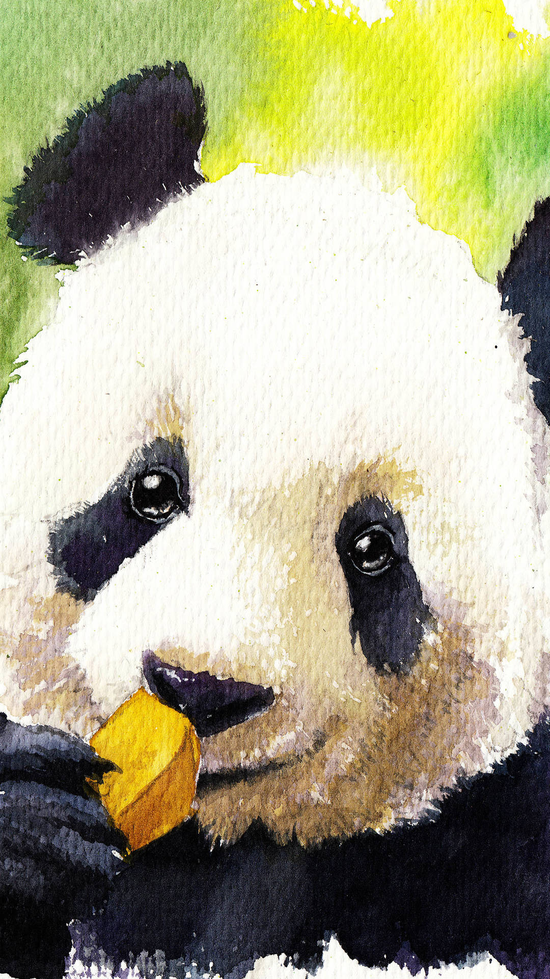 Iphone Panda Wallpapers