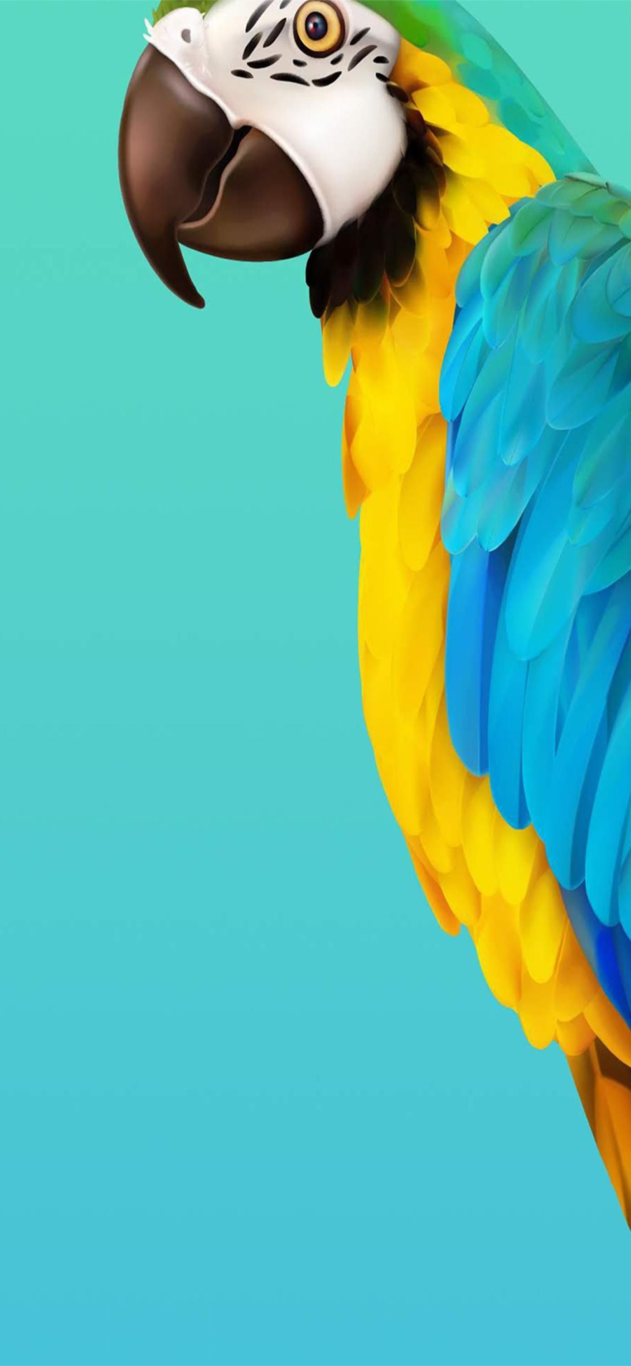 Iphone Parrot Wallpapers