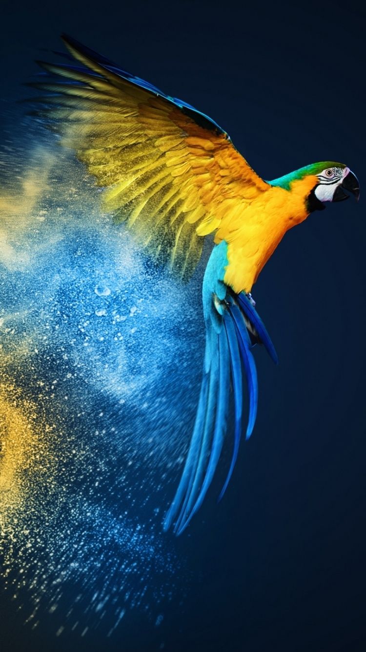 Iphone Parrot Wallpapers