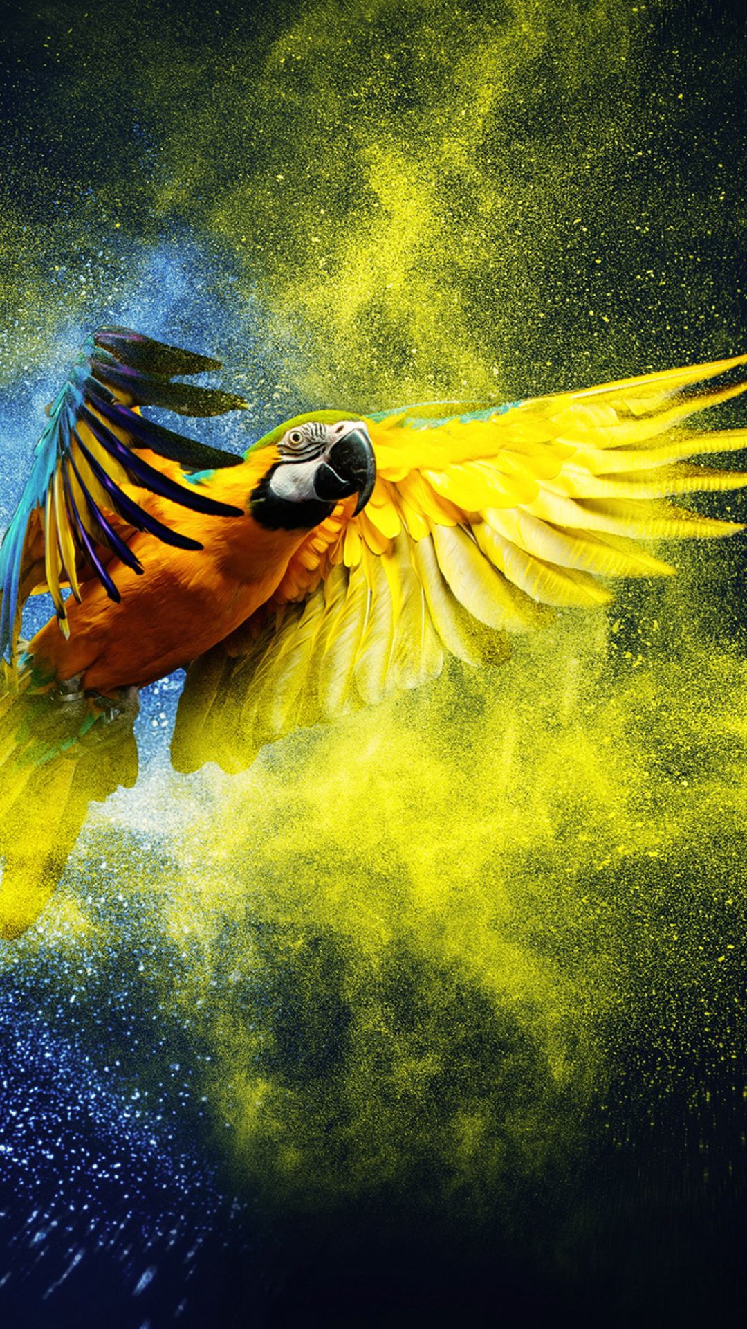 Iphone Parrot Wallpapers