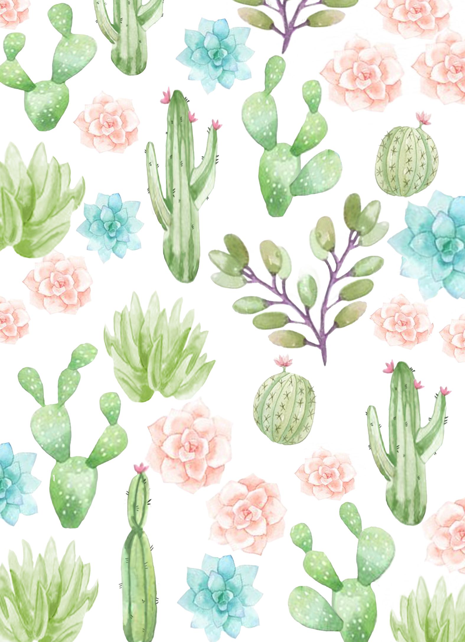 Iphone Pastel Cactus Wallpapers
