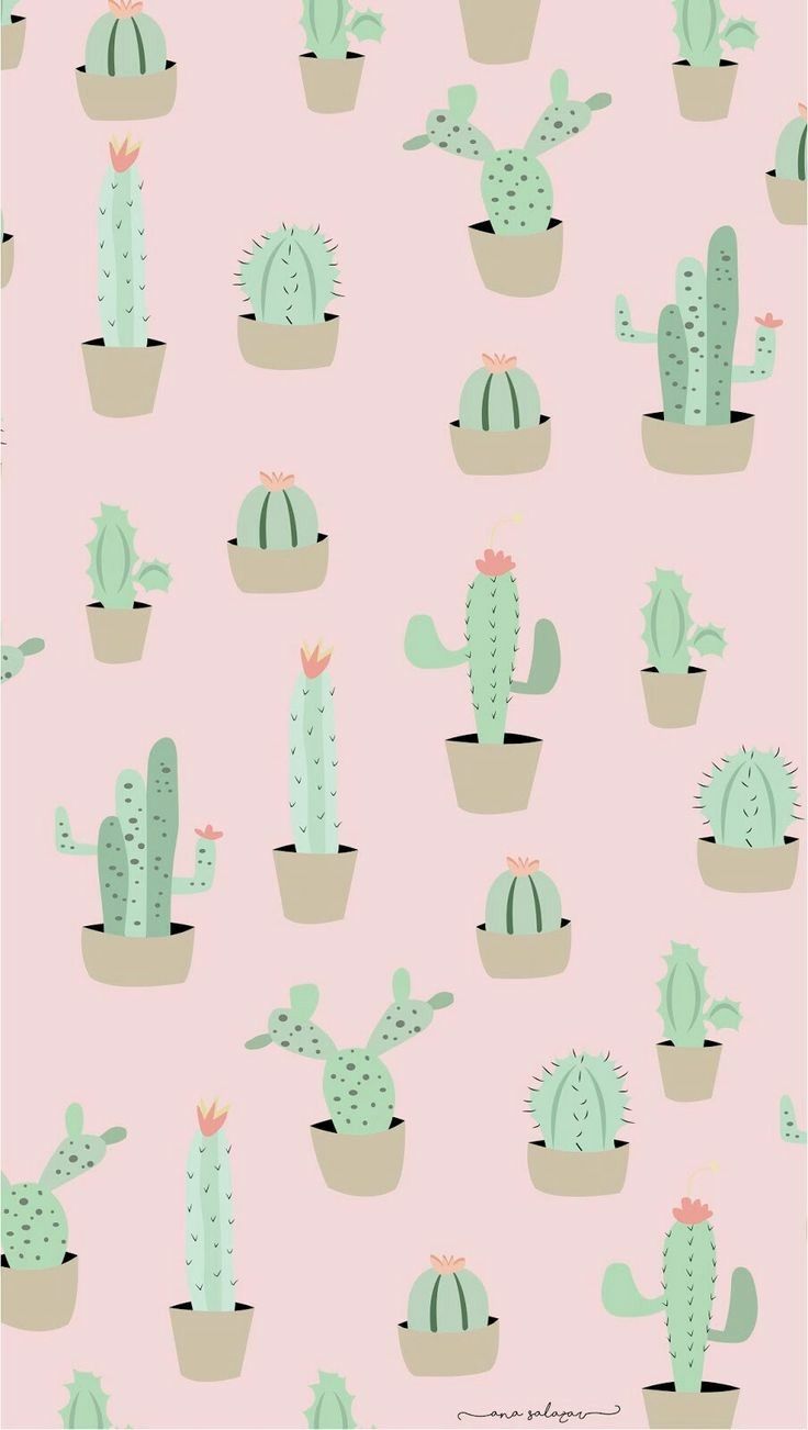 Iphone Pastel Cactus Wallpapers