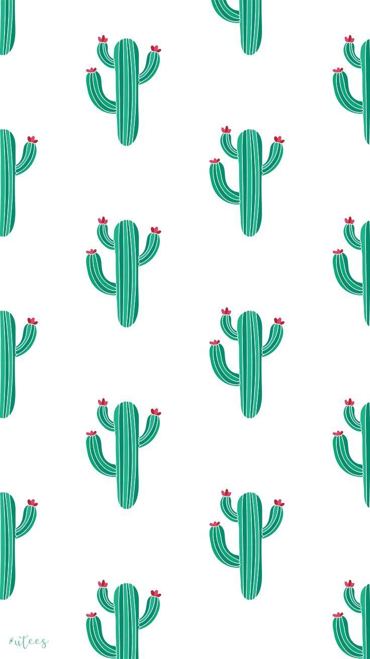 Iphone Pastel Cactus Wallpapers