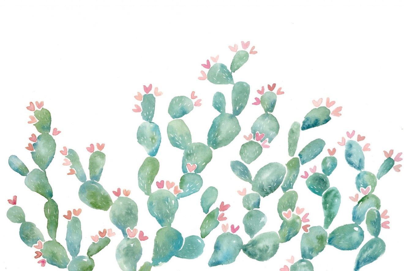 Iphone Pastel Cactus Wallpapers