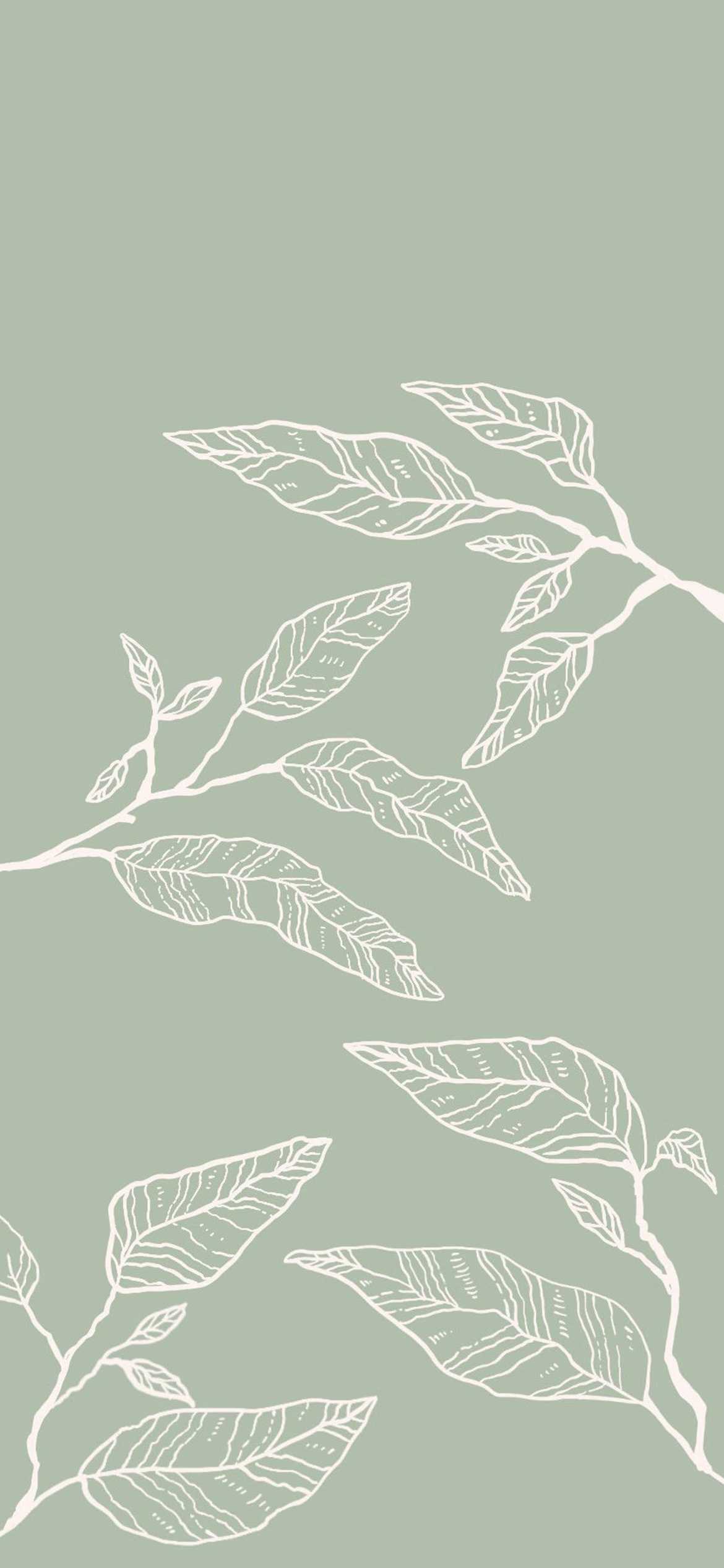 Iphone Sage Green Wallpapers