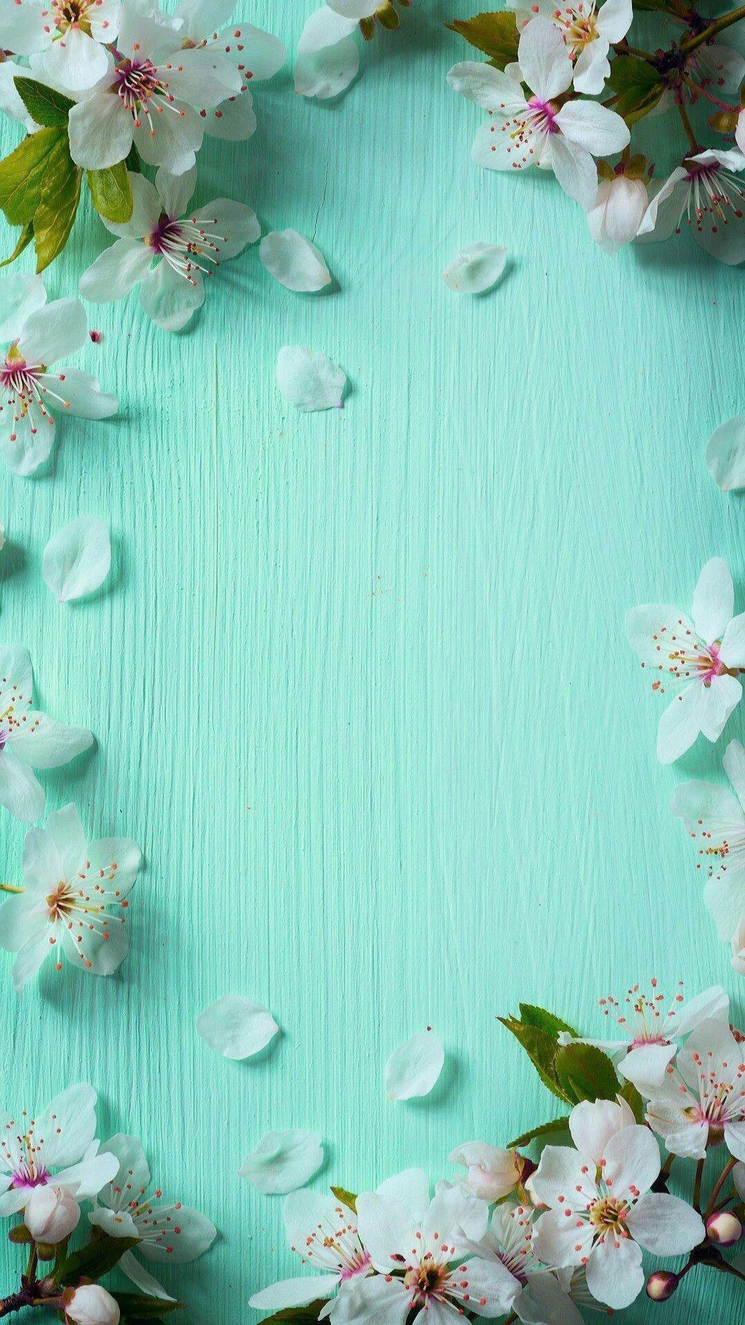 Iphone Spring Wallpapers