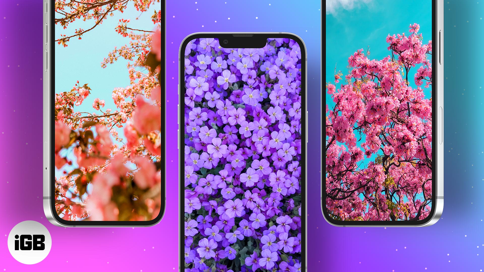 Iphone Spring Wallpapers