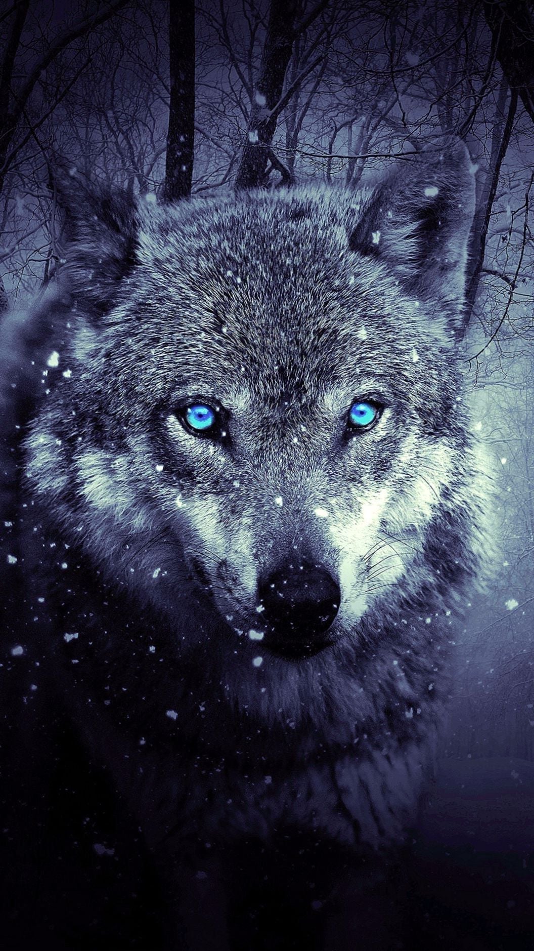 Iphone Wolf Wallpapers