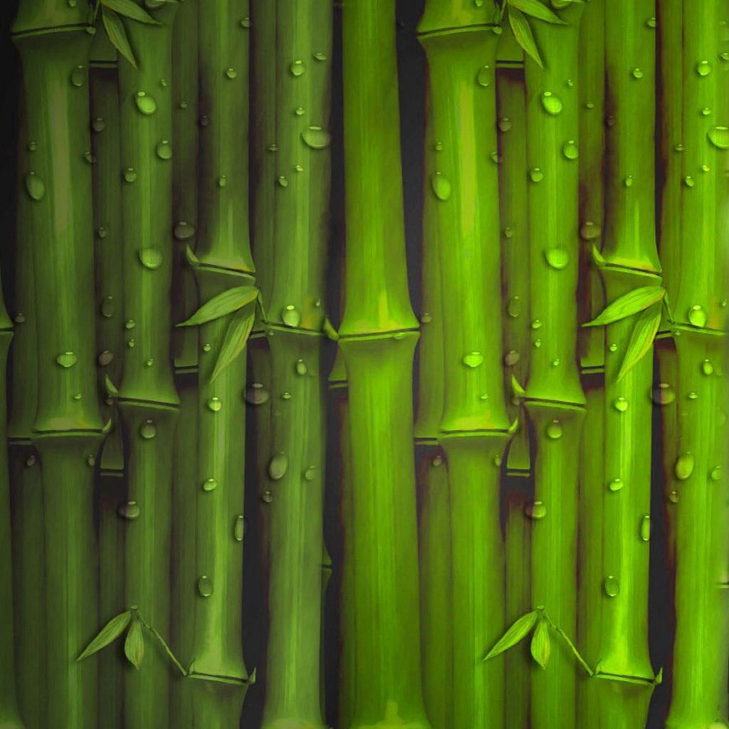 Iphone Xs Max Bamboo Wallpapers