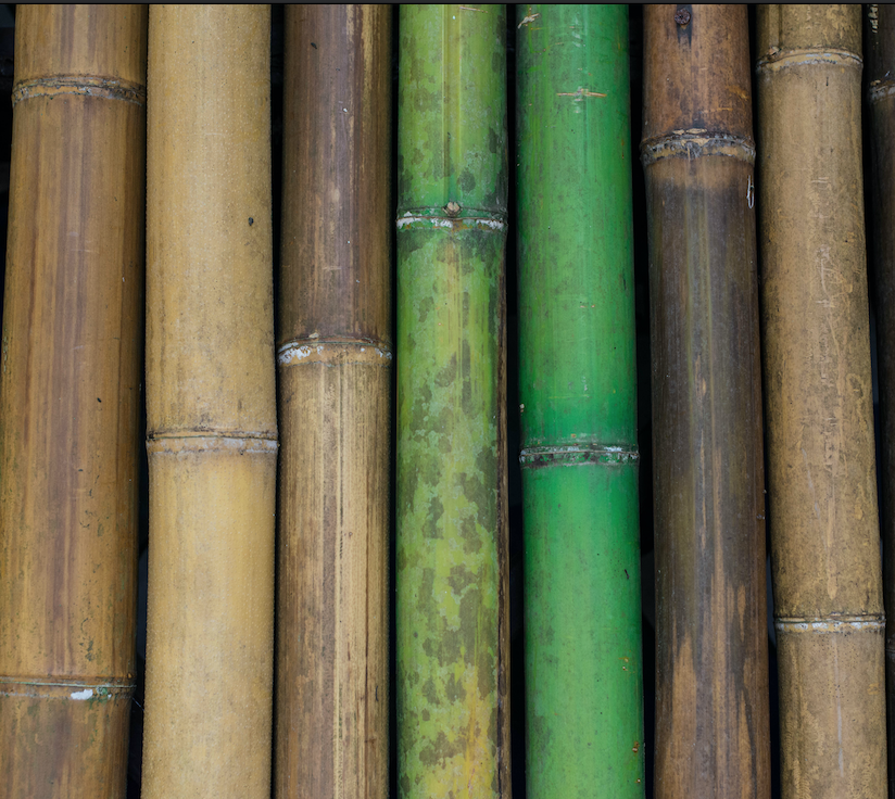 Iphone Xs Max Bamboo Wallpapers