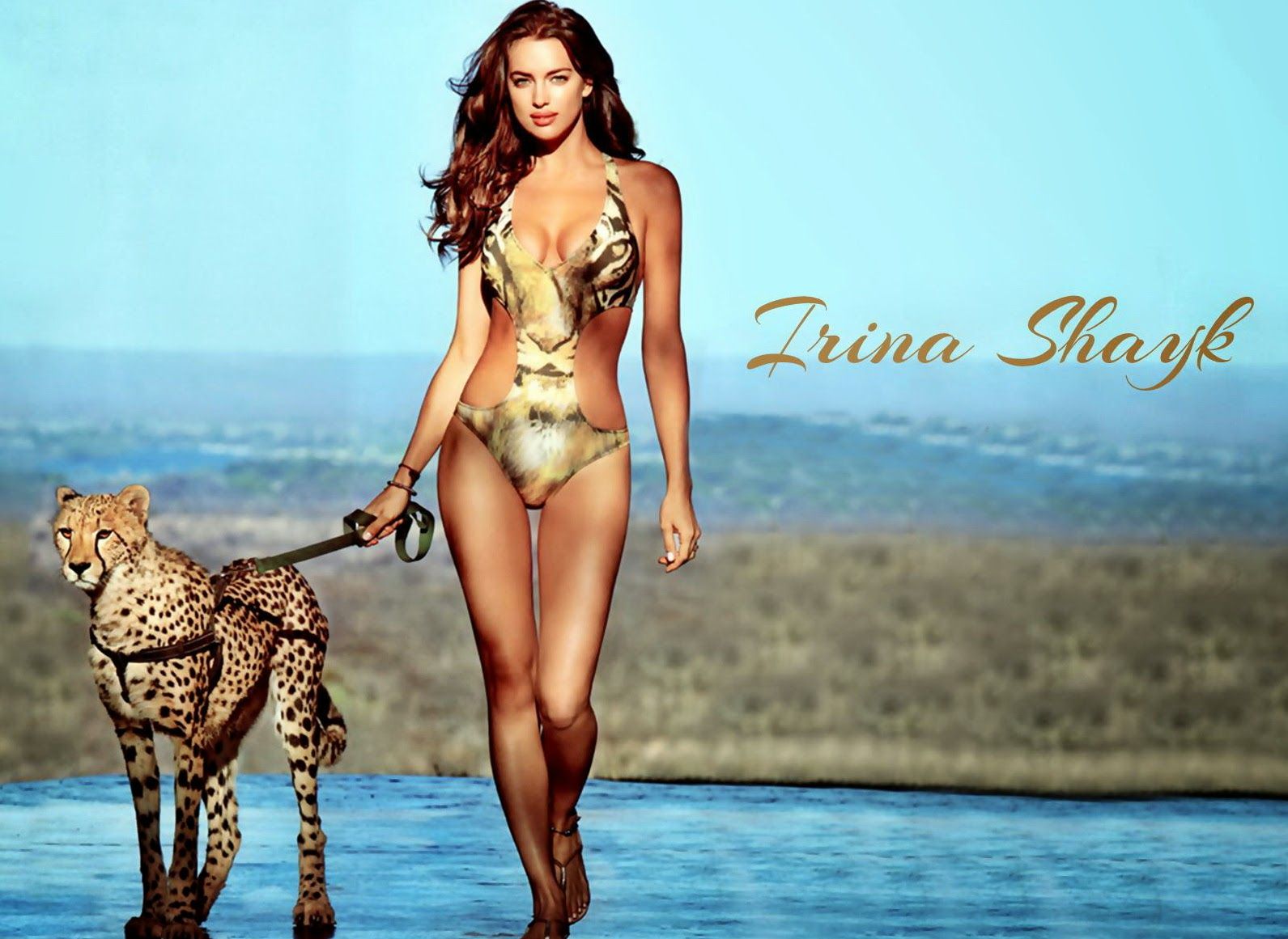 Irina Shayk Hd Wallpapers