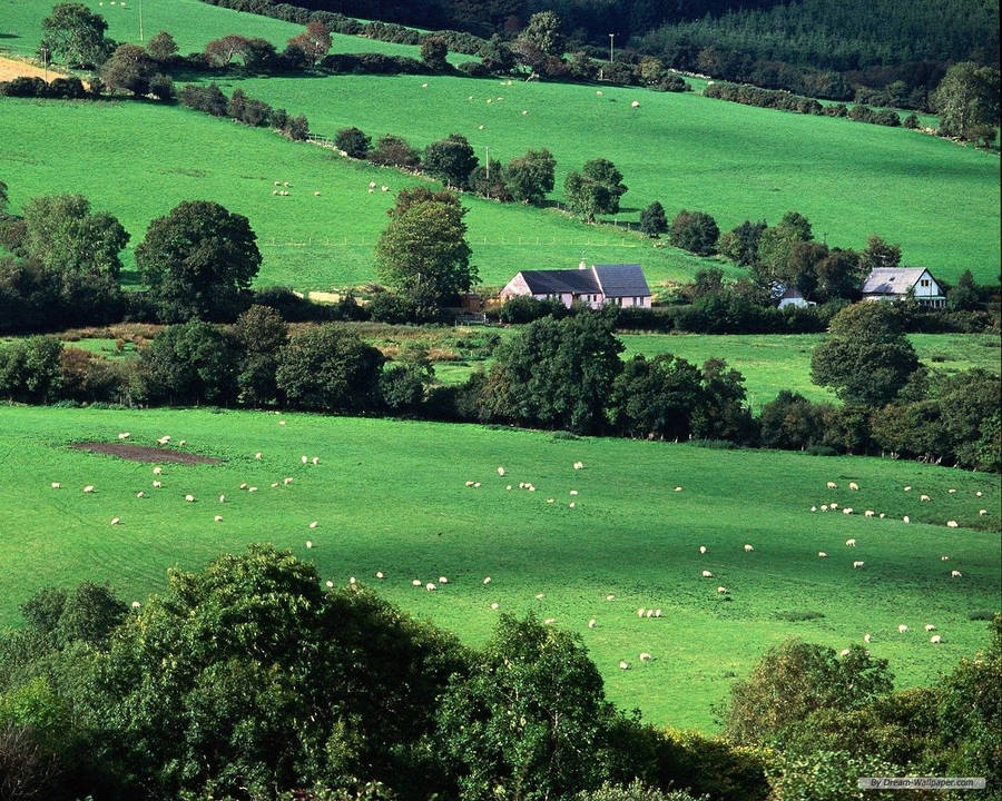 Irish Countryside Wallpapers