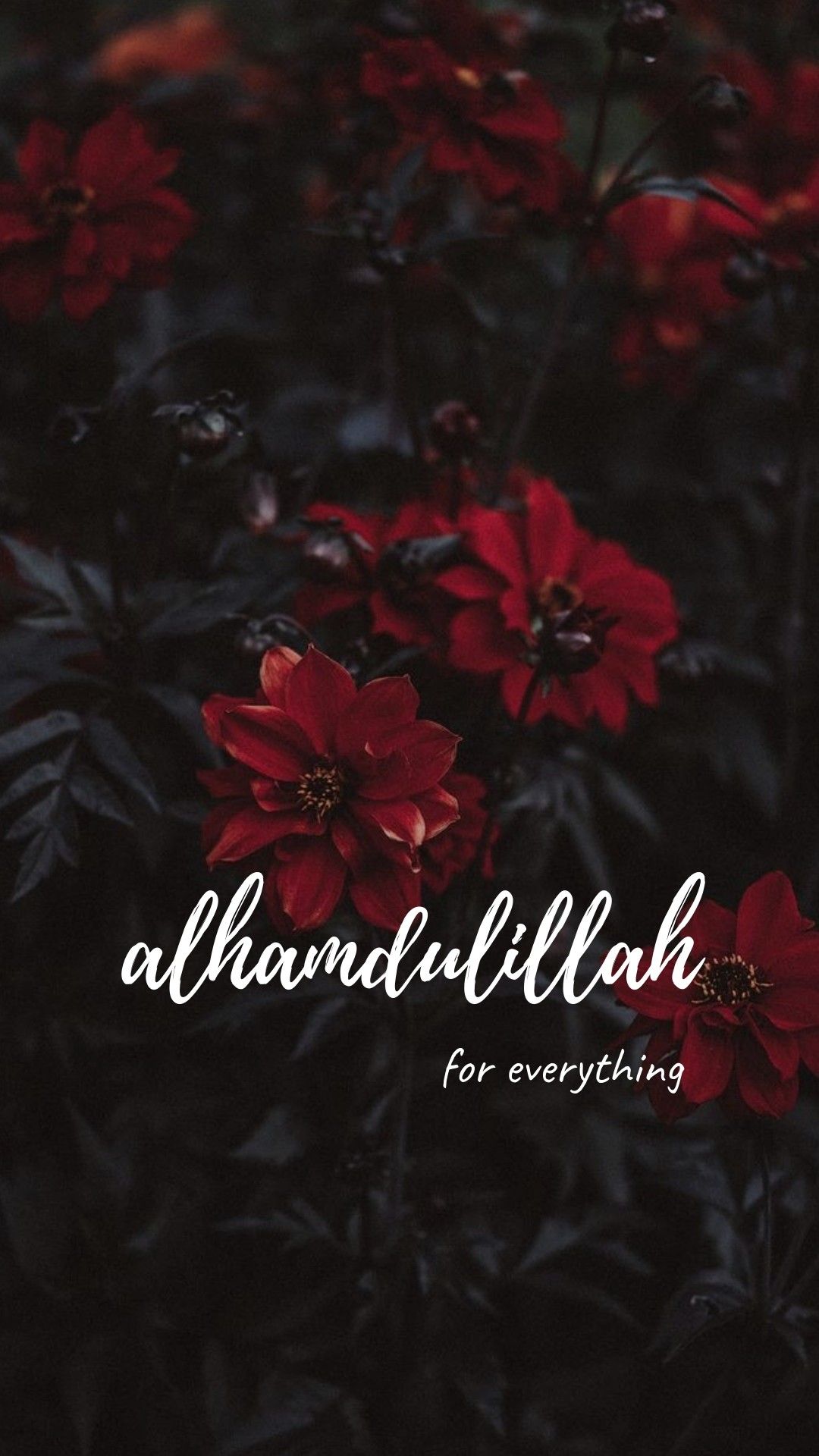 Islamic Iphone Wallpapers