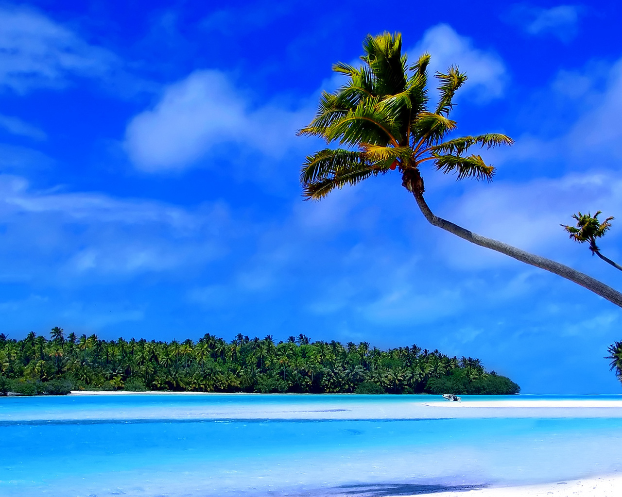 Island Beach Wallpapers