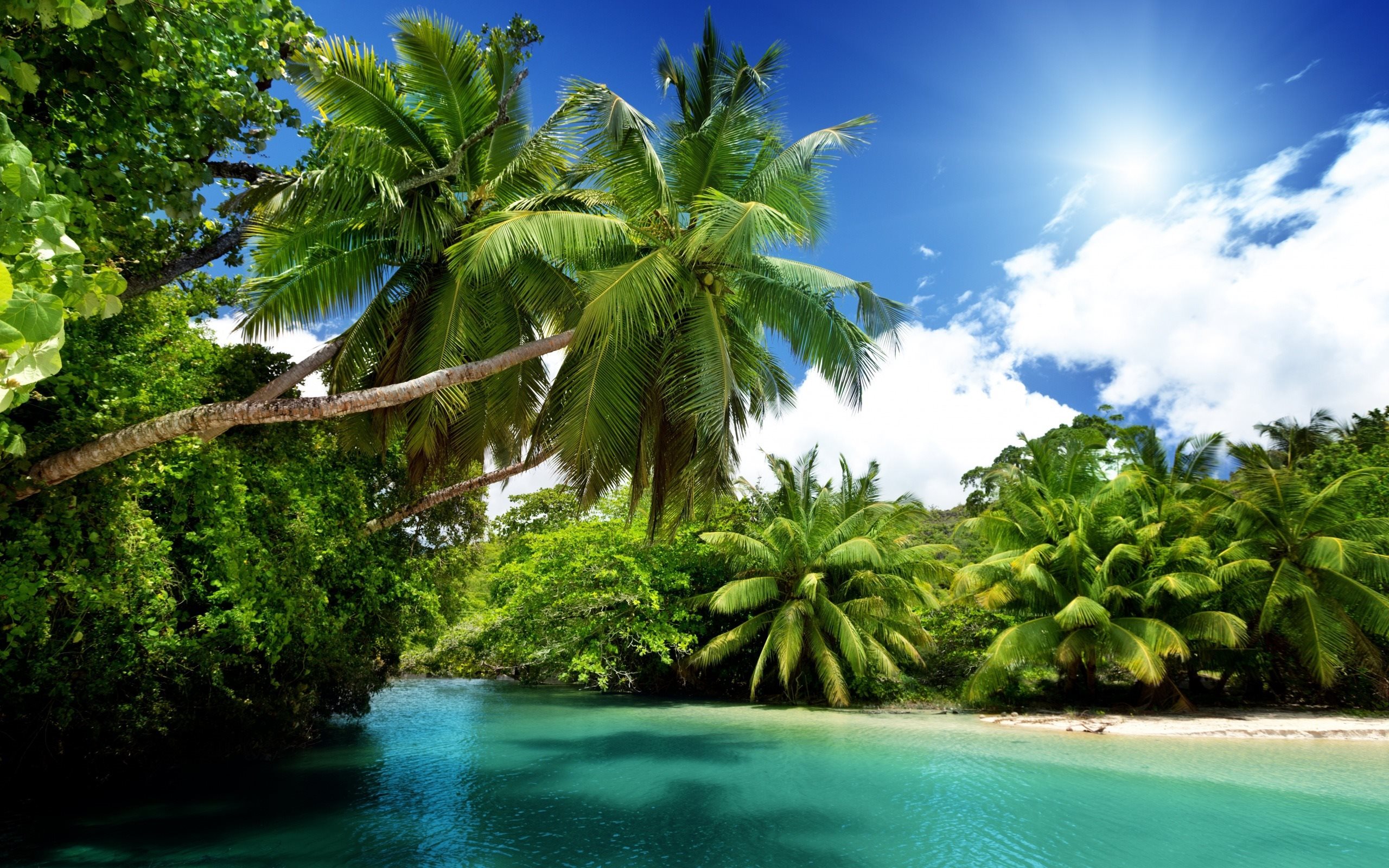 Island Beach Wallpapers