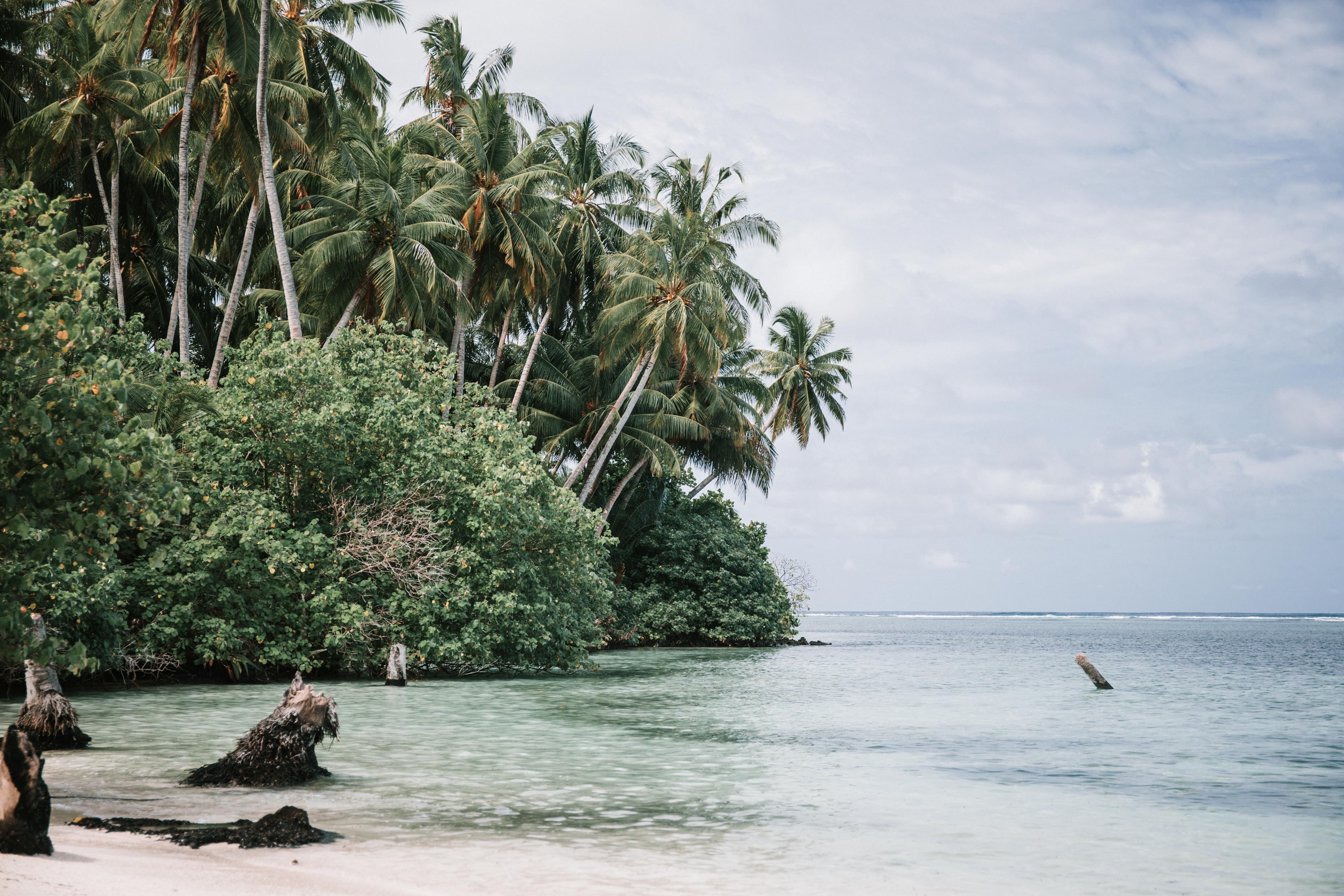 Island Surrounded By Green Sea Wallpapers