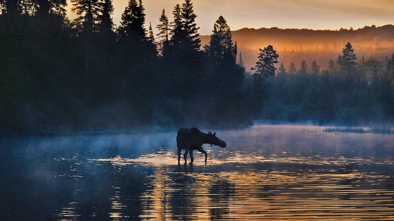 Isle Royale National Park Wallpapers