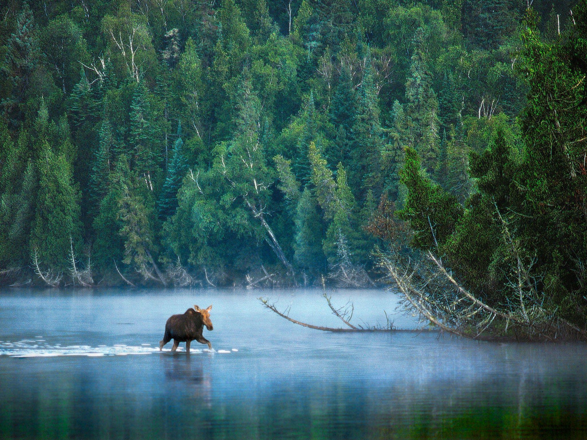 Isle Royale National Park Wallpapers