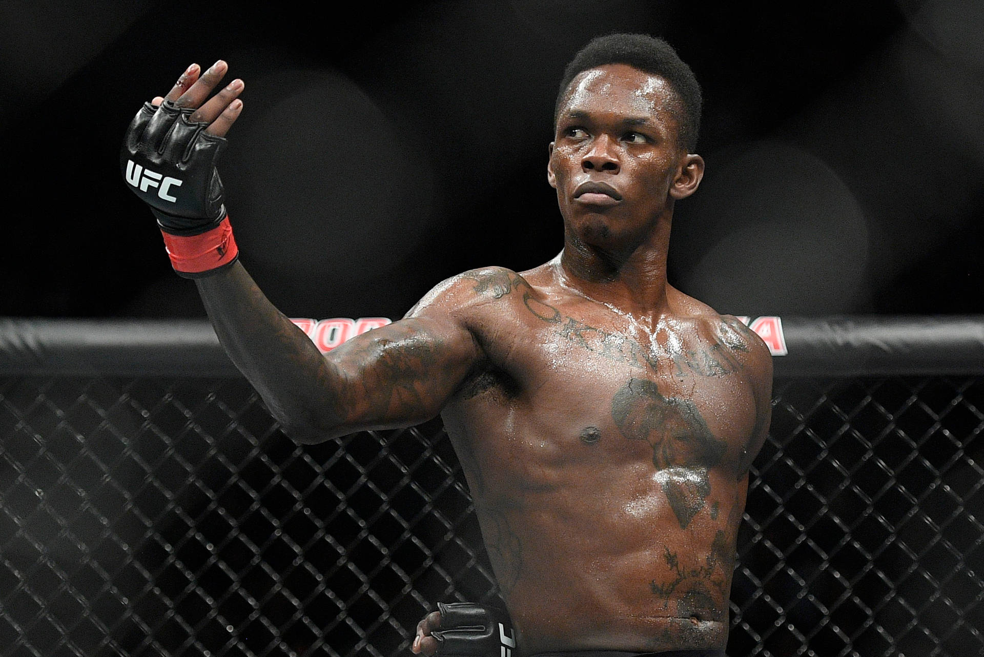 Israel Adesanya Wallpapers