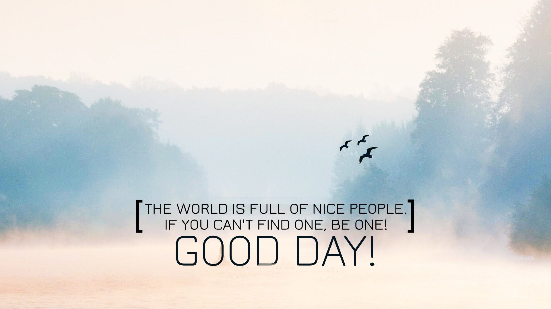 It'S A Good Day To Have A Good Day Wallpapers