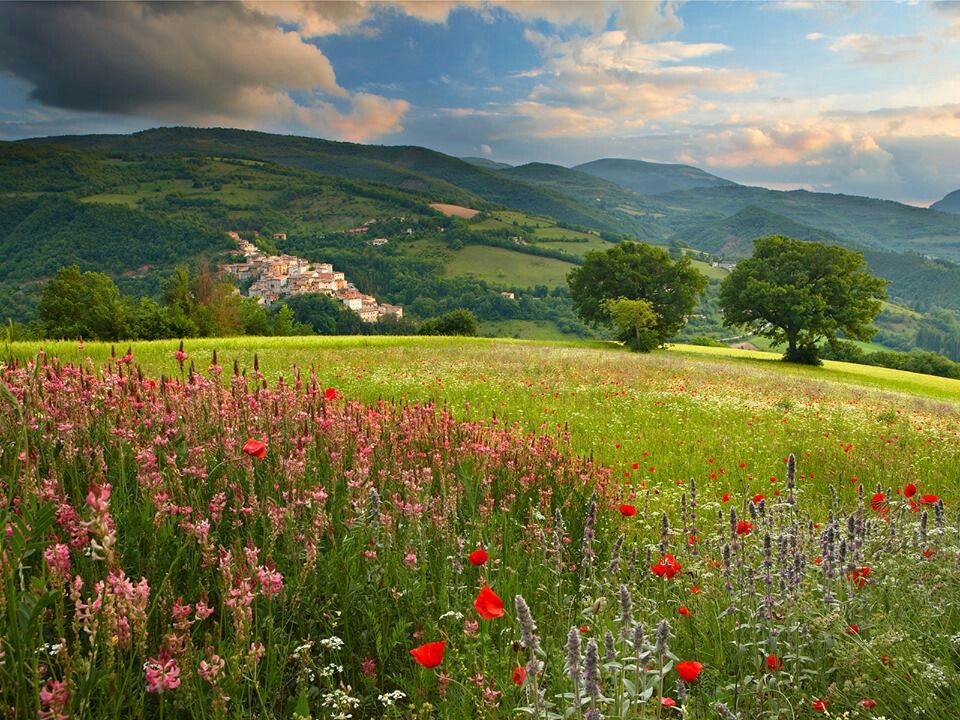 Italian Countryside Wallpapers