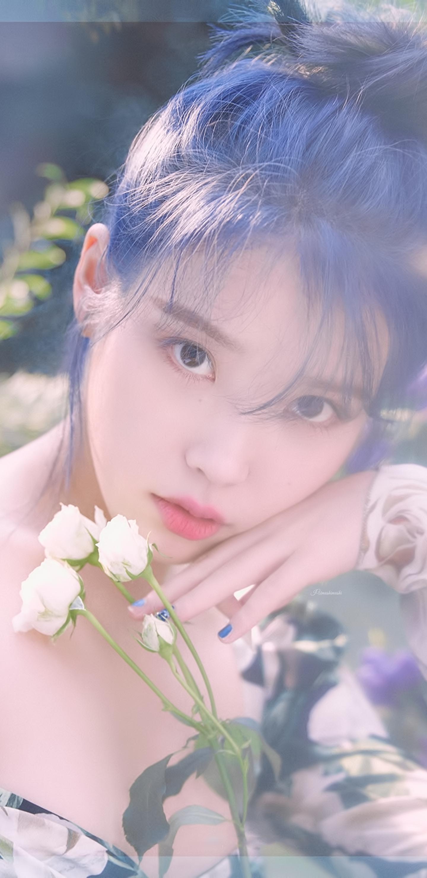 Iu Wallpapers