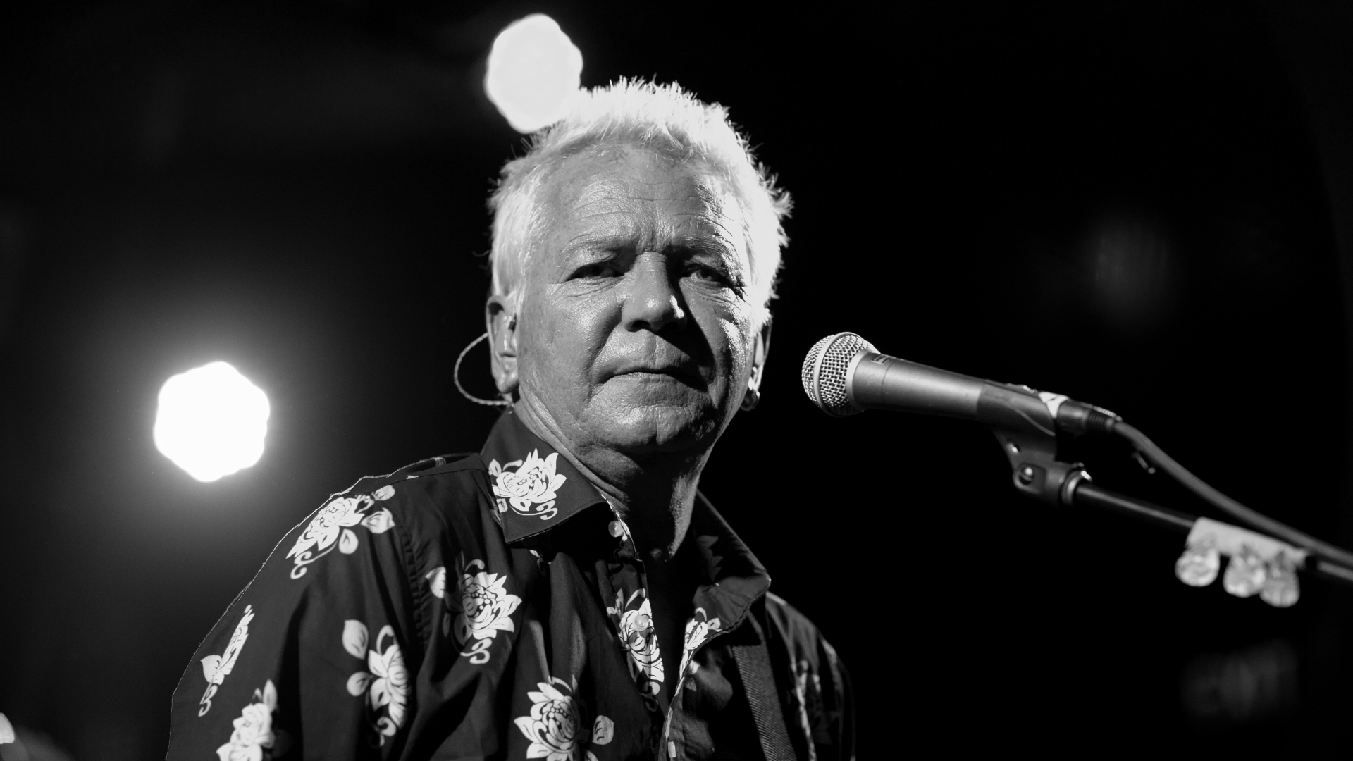 Iva Davies Wallpapers