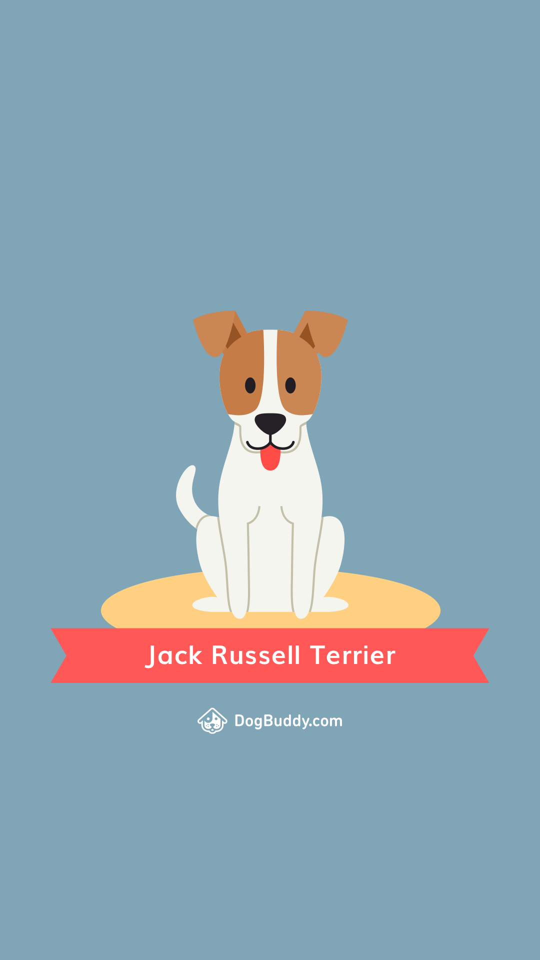 Jack Russell Terrier Wallpapers