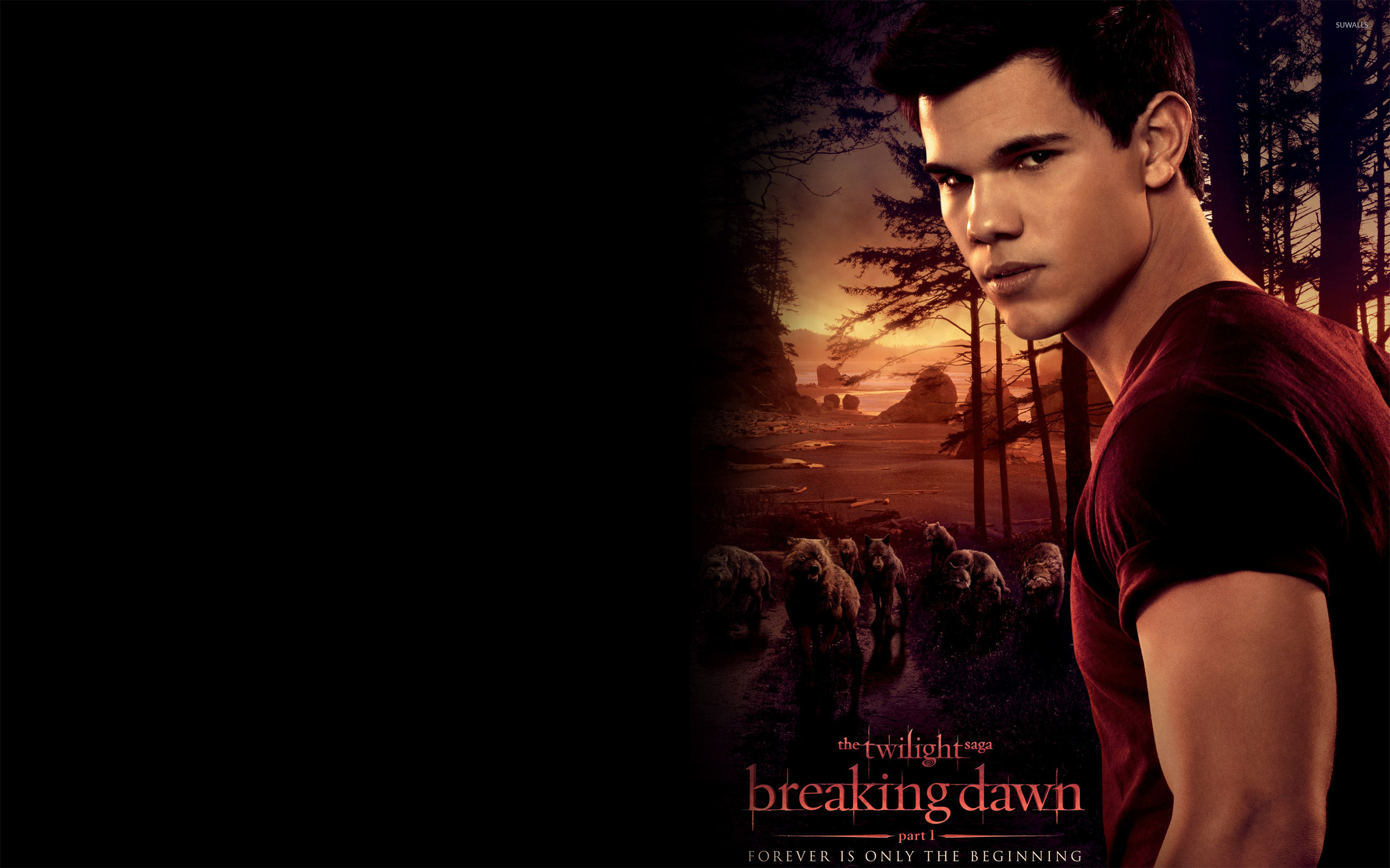 Jacob Black Wallpapers