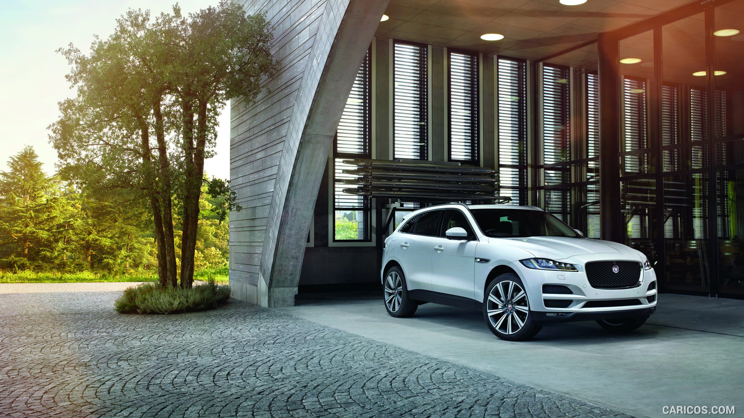 Jaguar F-Pace Wallpapers