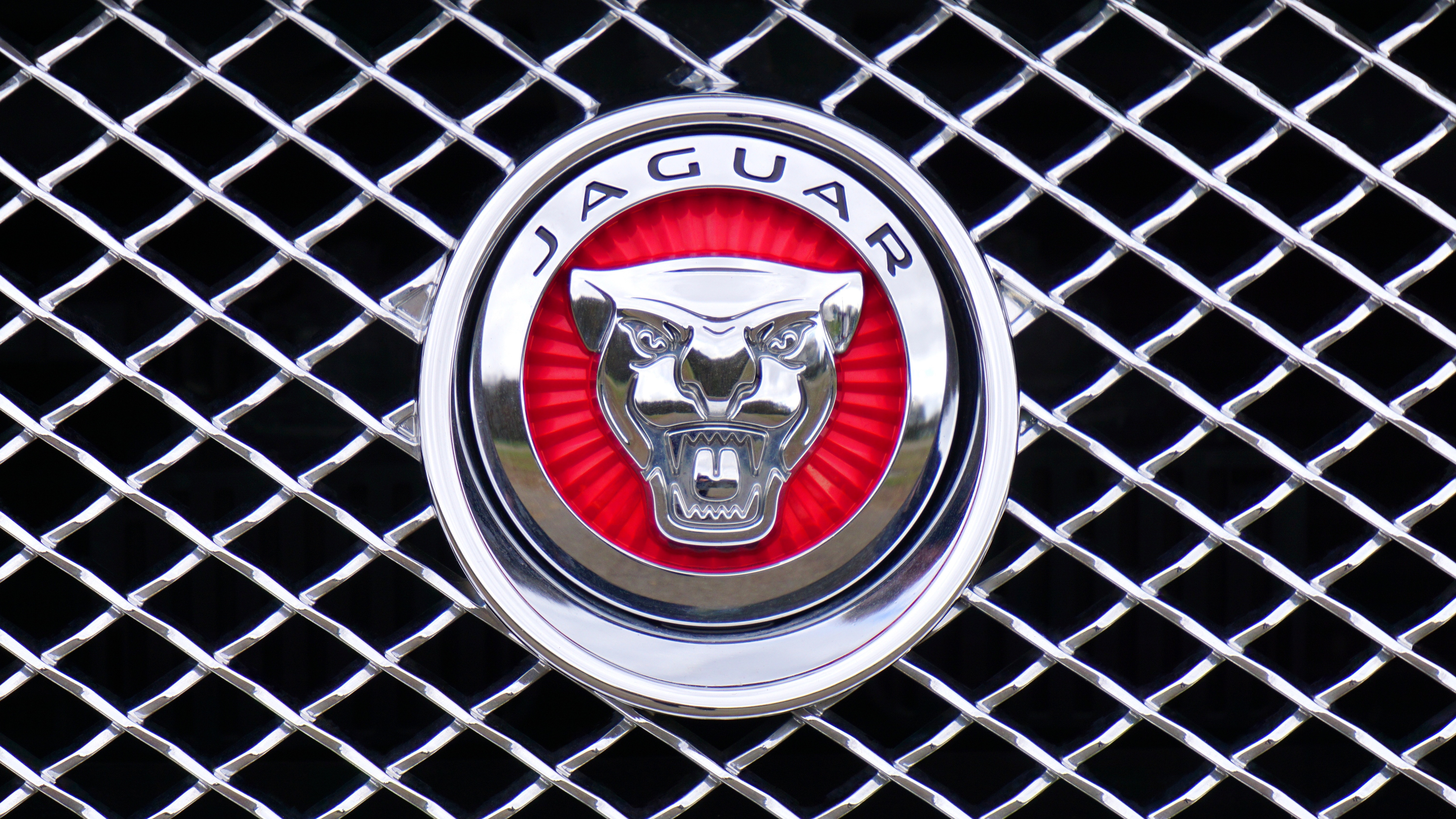 Jaguar Hd Wallpapers