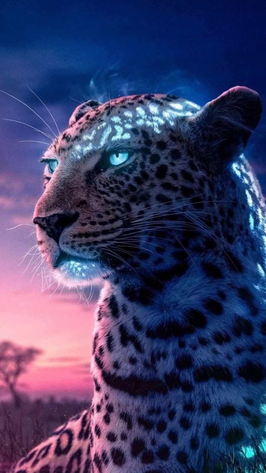 Jaguar Iphone Wallpapers