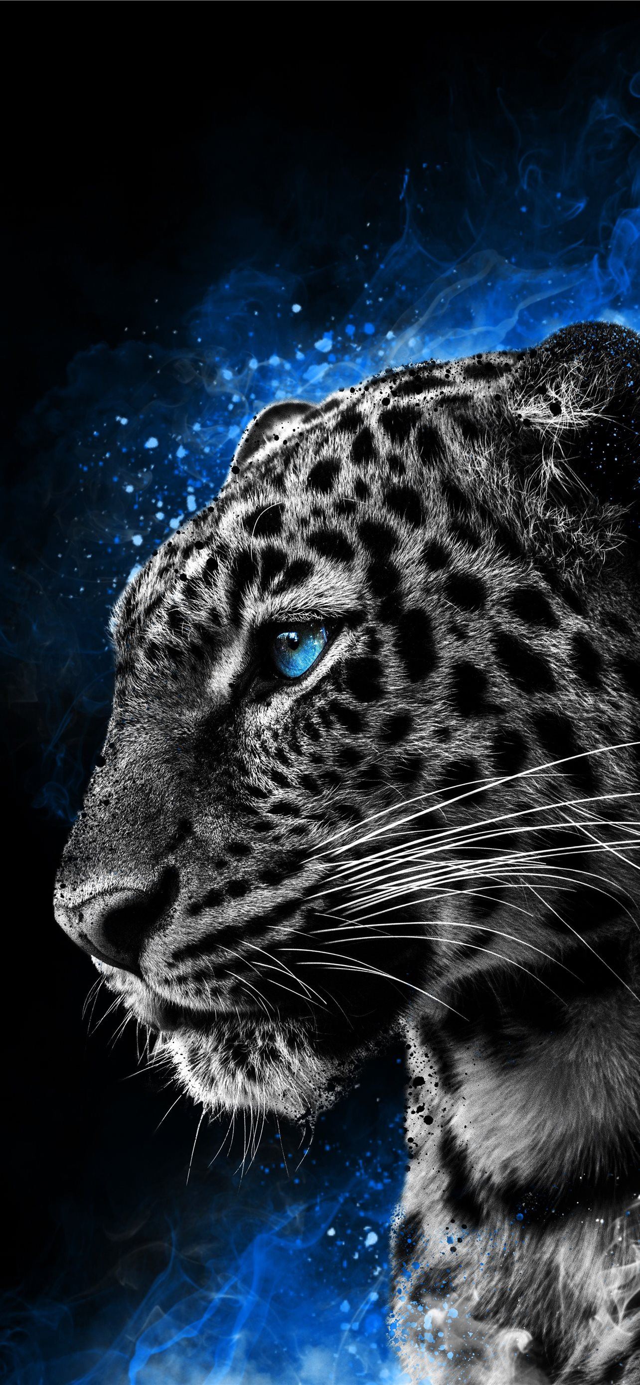 Jaguar Iphone Wallpapers