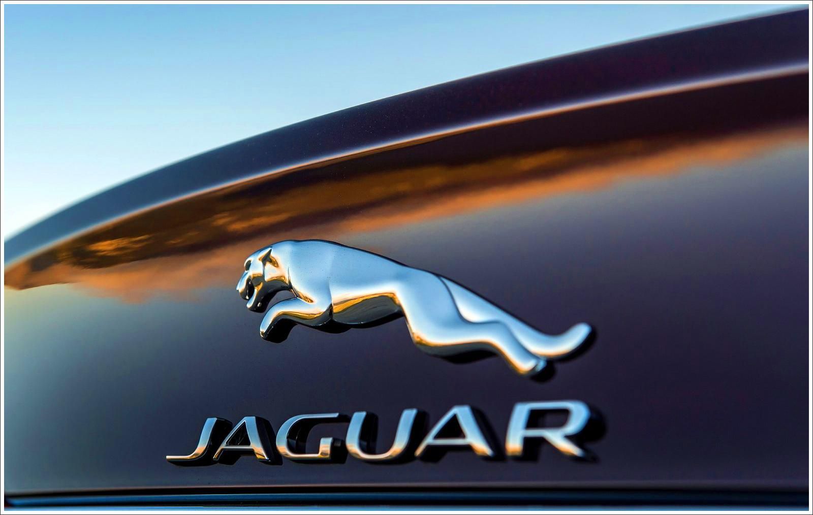 Jaguar Logo Wallpapers