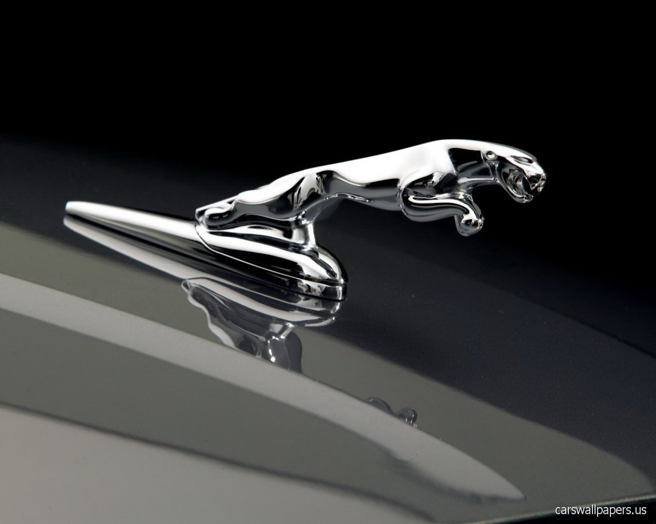 Jaguar Logo Wallpapers