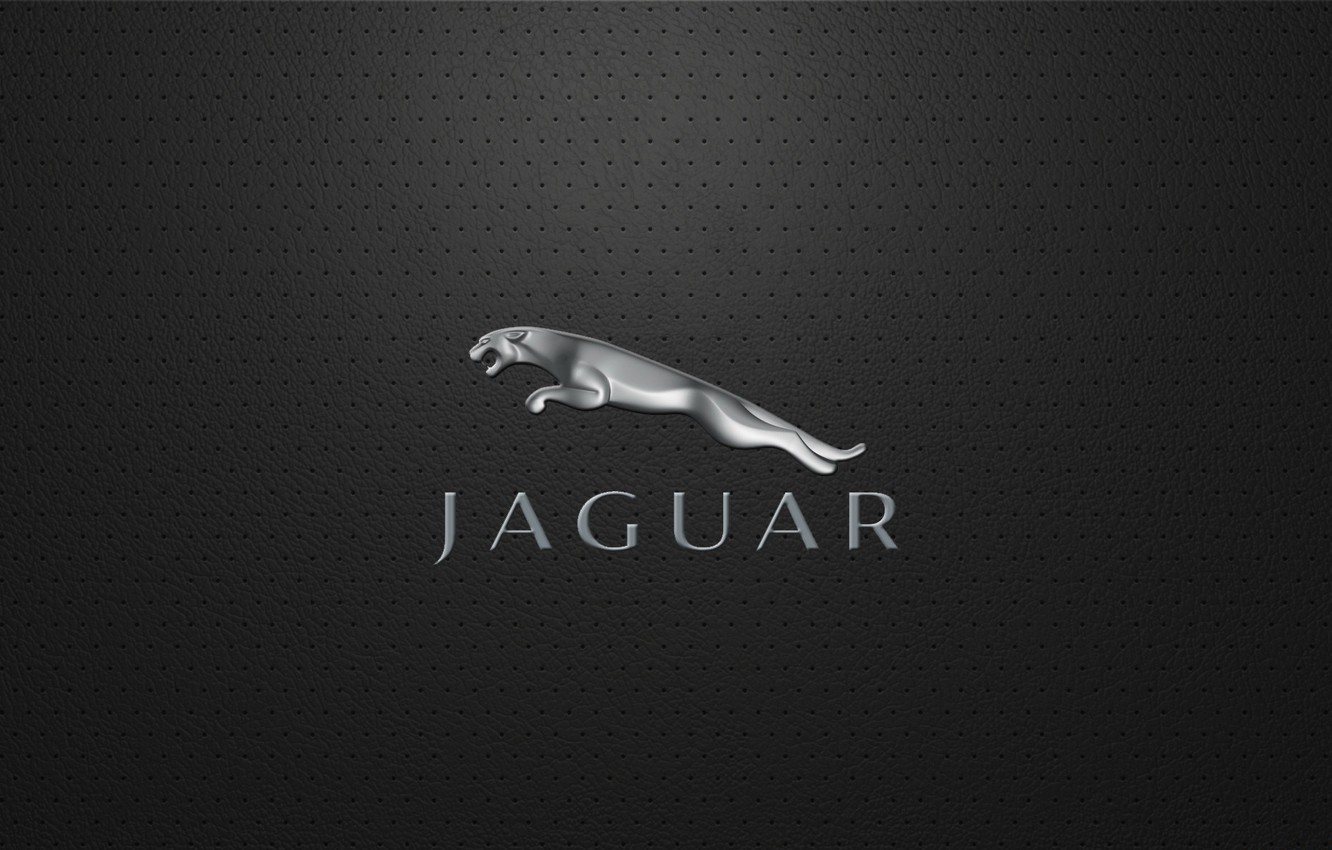 Jaguar Minimalism Wallpapers