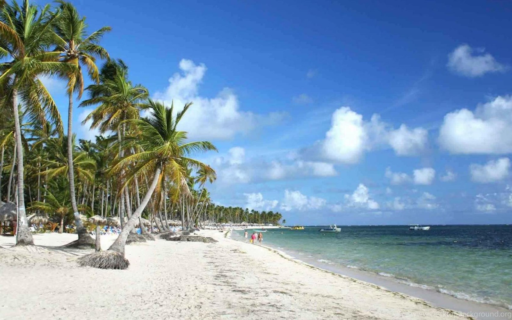 Jamaica Beach Background