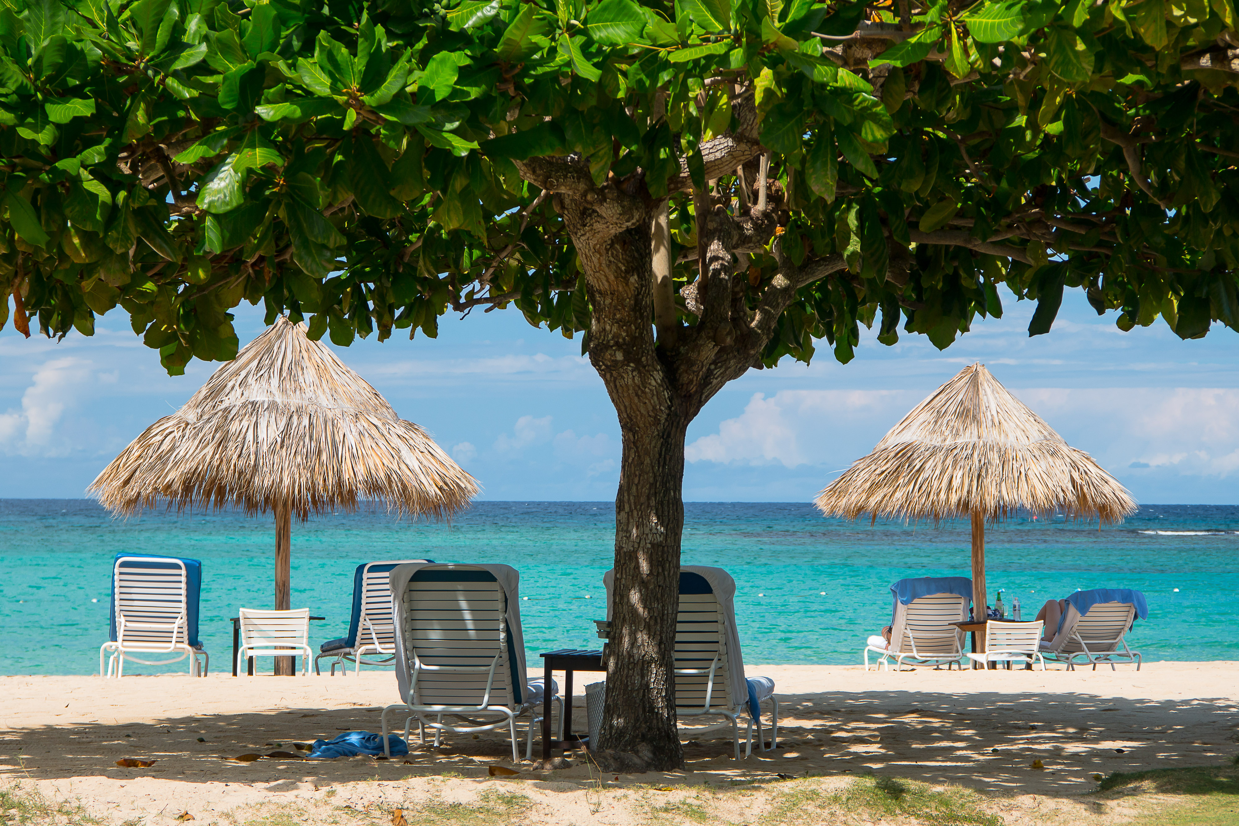 Jamaica Beach Background