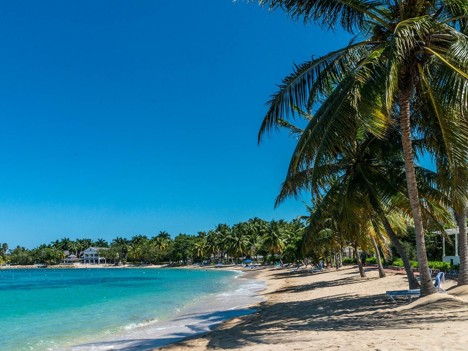 Jamaica Beach Background