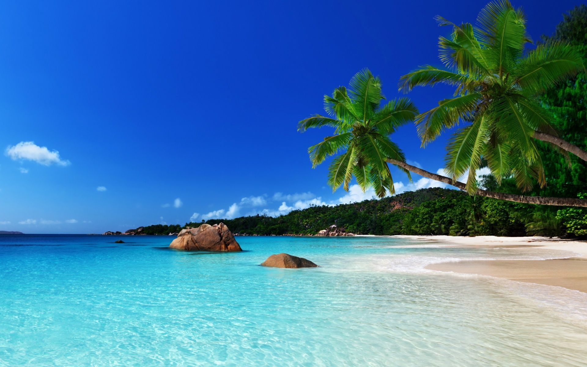 Jamaican Wallpapers