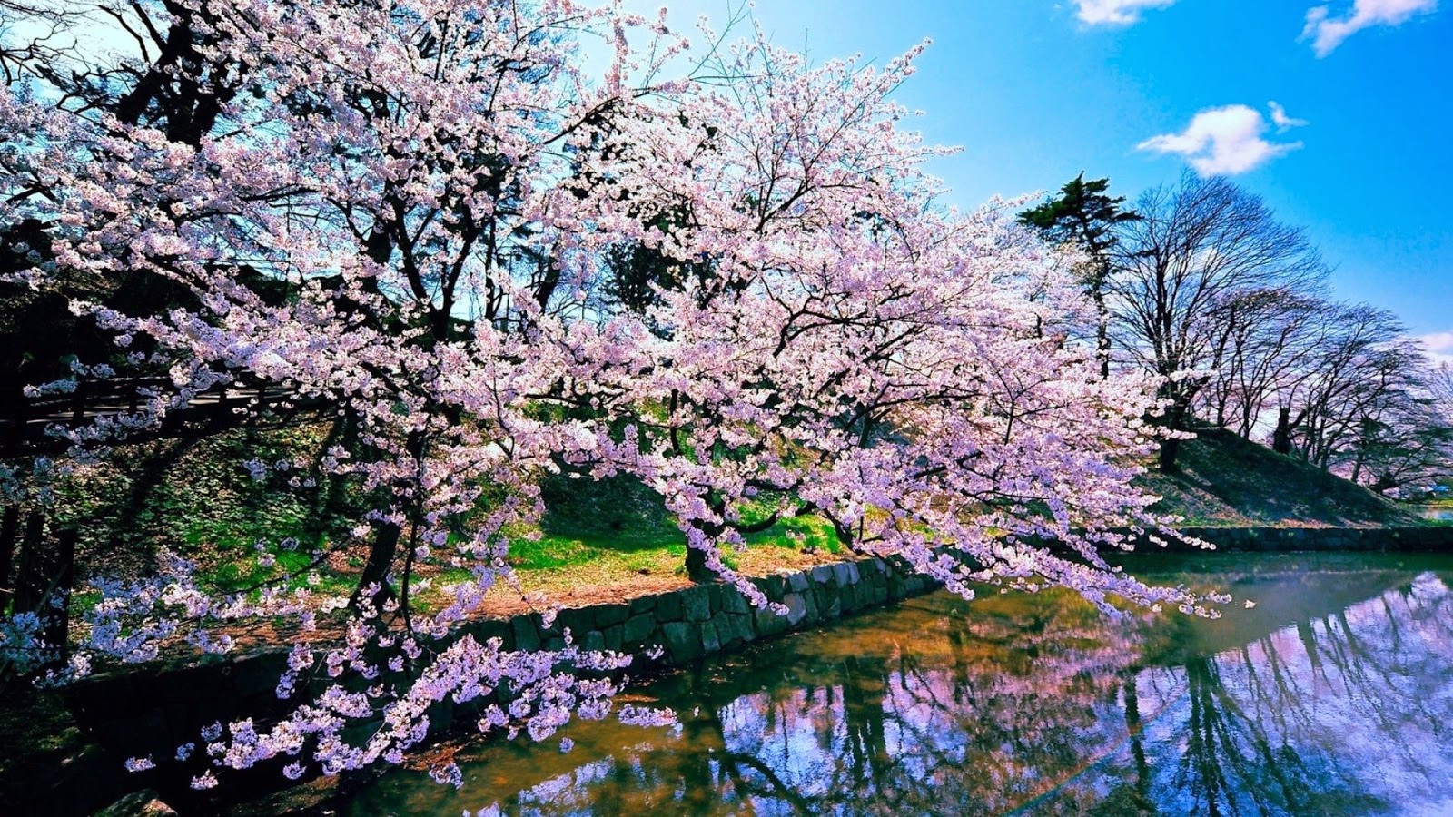 Japan Nature Wallpapers