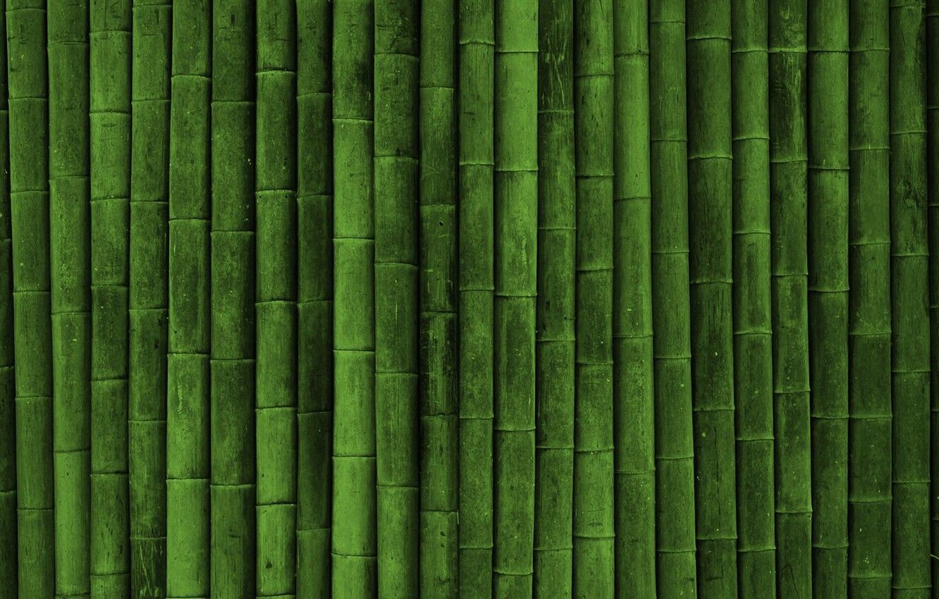 Japanese Background Bamboo