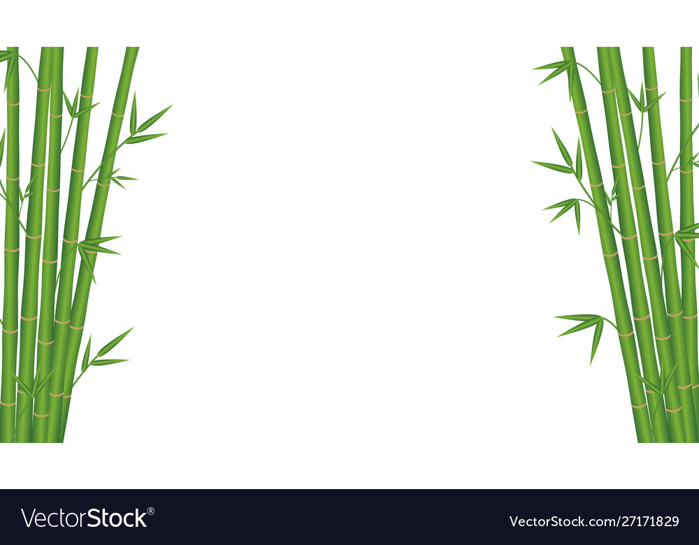 Japanese Background Bamboo