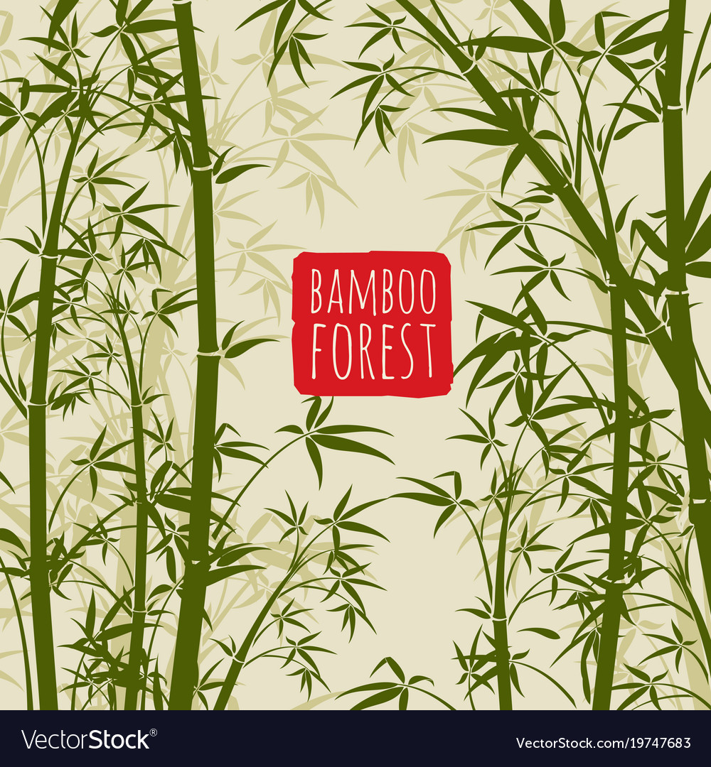 Japanese Background Bamboo