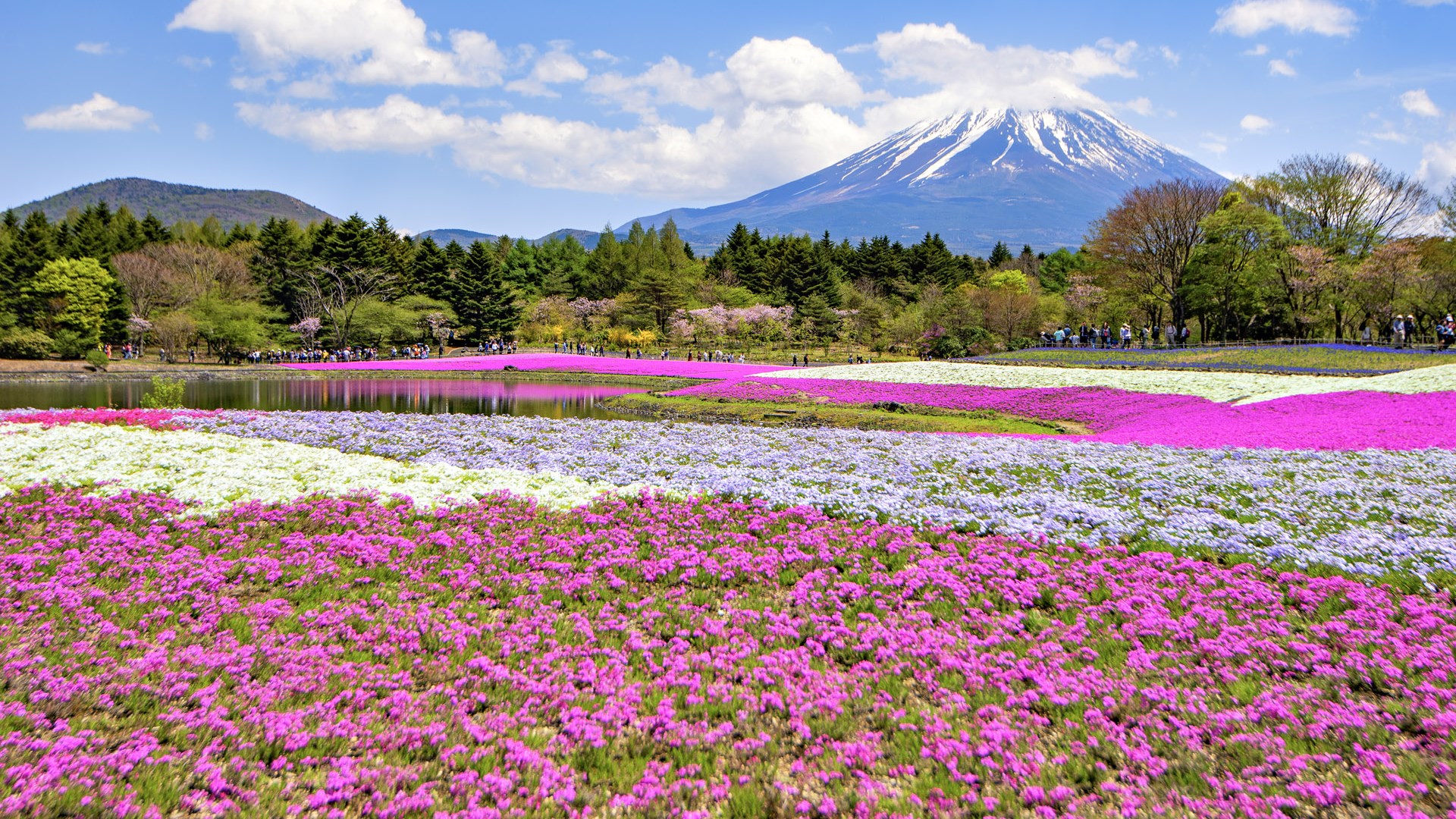 Japanese Landscape Wallpapers