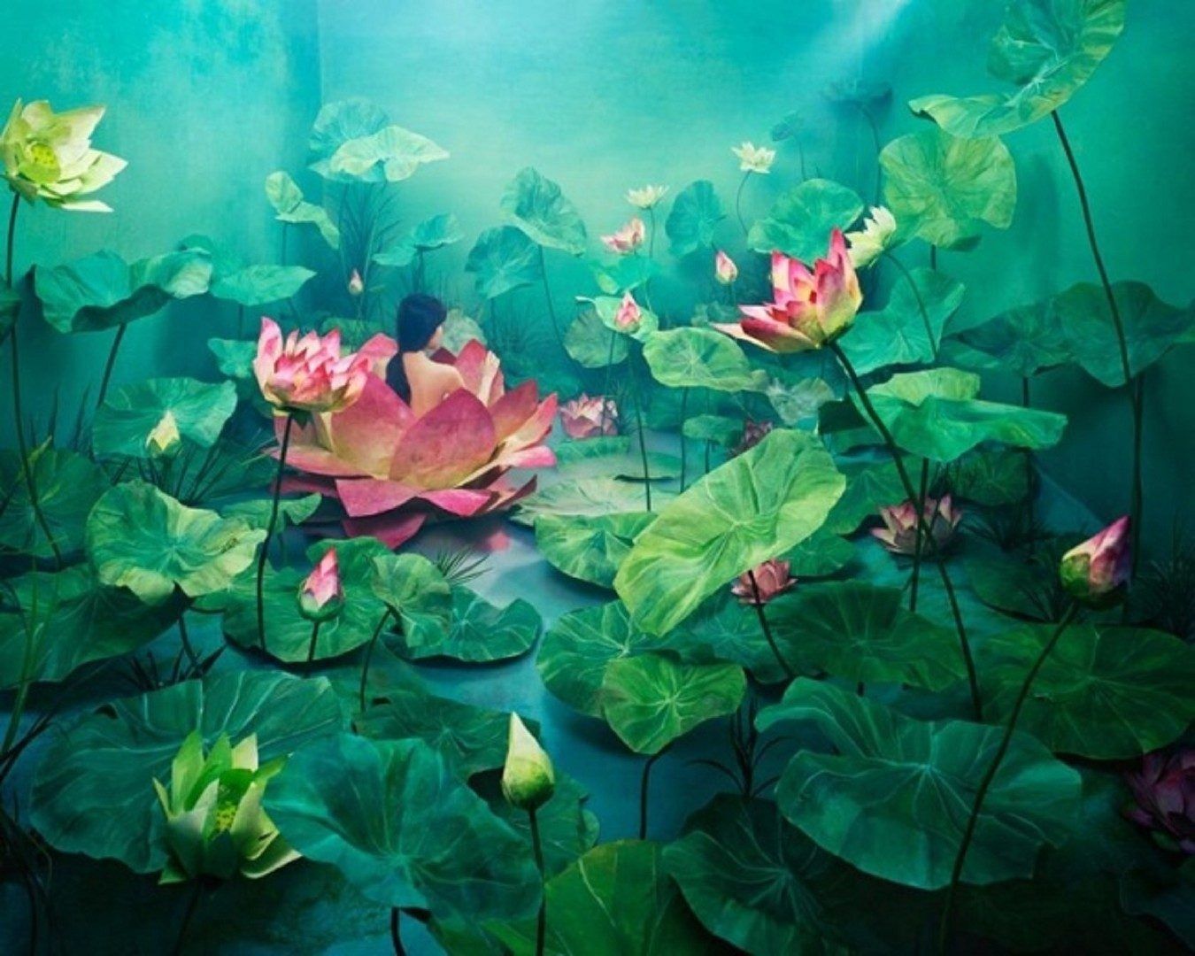 Japanese Lotus Art Wallpapers