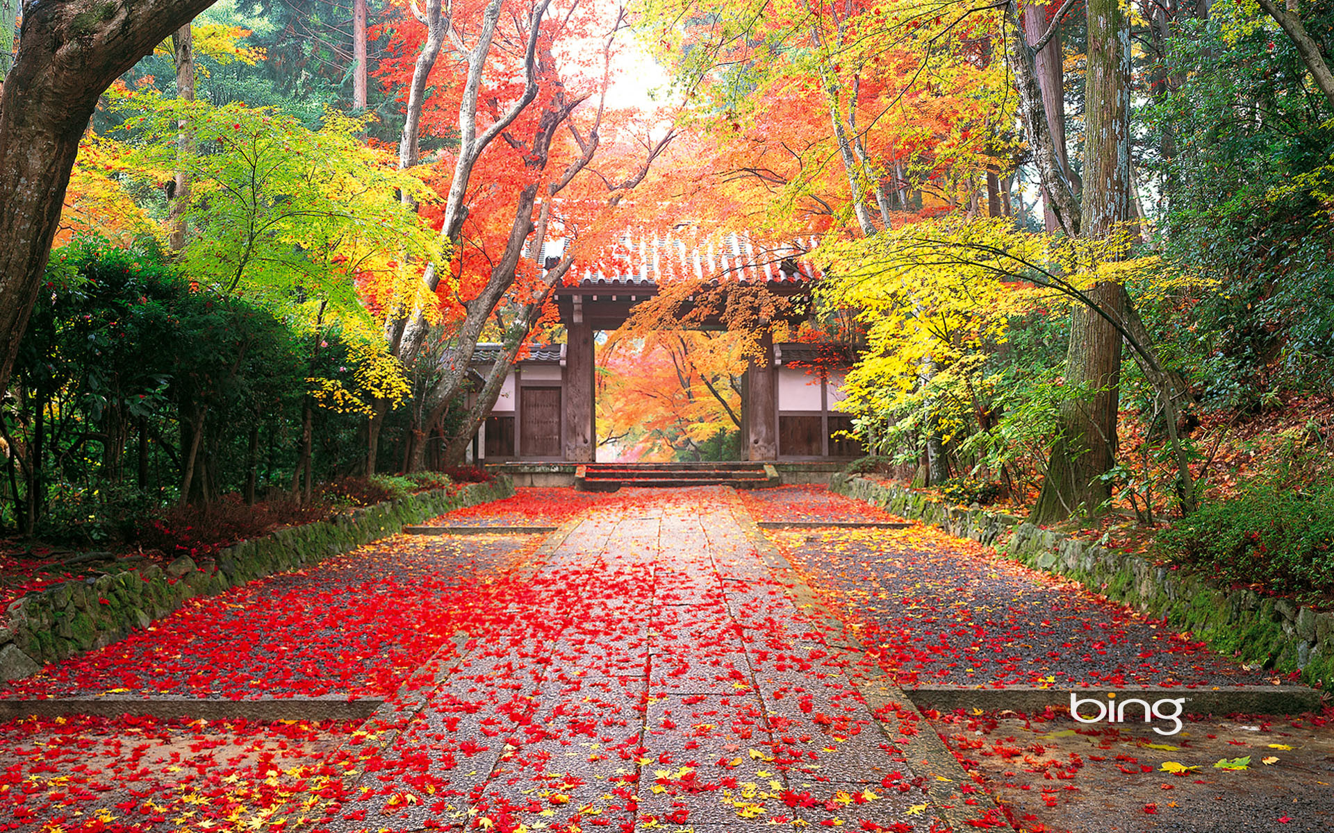 Japanese Nature Background