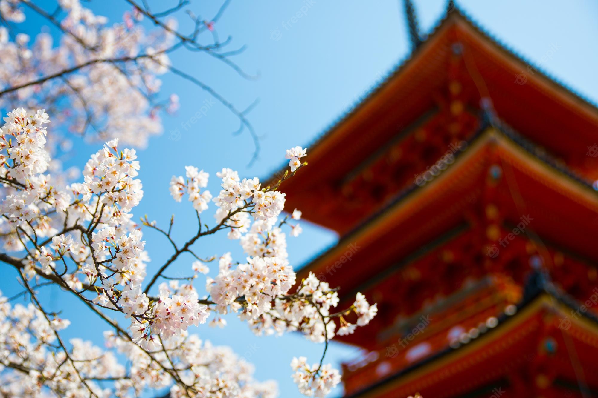 Japanese Temple Wallpapers